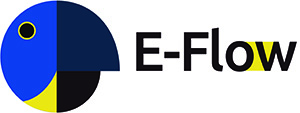 logo-E-Flow-all